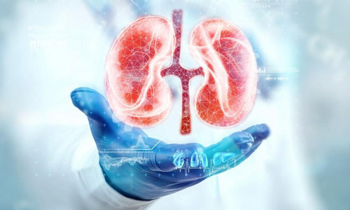 Pediatric Renal Transplant in Nagpur